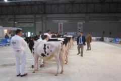 Gandagro_14_10