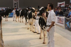 Gandagro_14_22