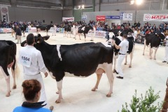 Gandagro_14_26